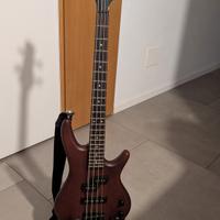 Kit Basso Ibanez 4 corde + Ampli Harley Benton