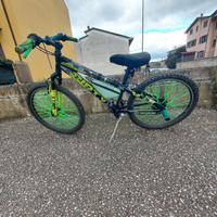 bici 24 