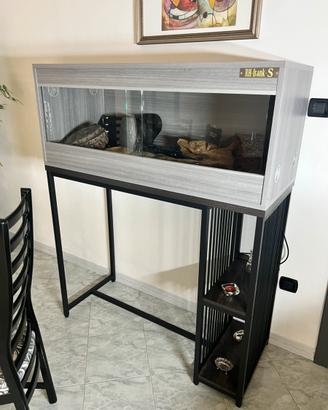 Teca rettilaio terraio