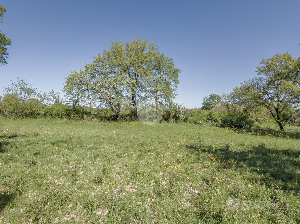TER. AGRICOLO A GALLESE - Altro