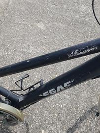bici pegasus