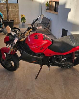 gilera dna piaggio