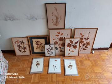 Quadri Floreali e composizioni.