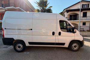Fiat ducato maxi