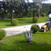 Operaio specializzato in giardinaggio