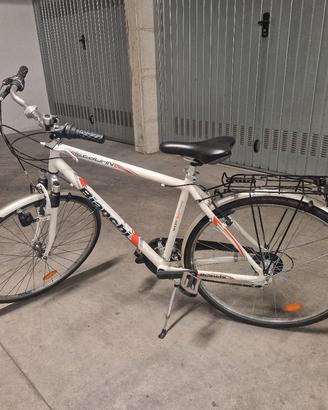 Bianchi FreeBorn
