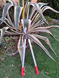 Troncarami professionale Kuker consegna gratis 