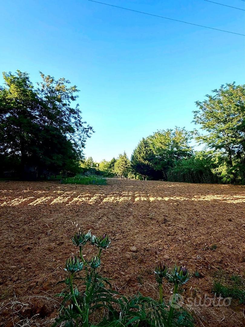 Terreno 4400 Mq con pozzo -Poggibonsi calcinaia - Altro
