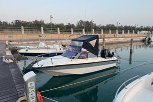 Rio500 motore mercury 40 pro