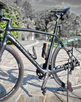 specialized 