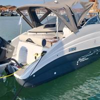 Aquabat Sport Cruiser 24 LUX + Mercury 250 CV