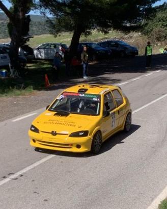 peugeot 106 rallye gti
