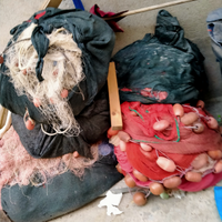 Rete a circuizione (sciabica)