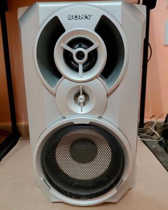 Cassa Sony SS-RG110