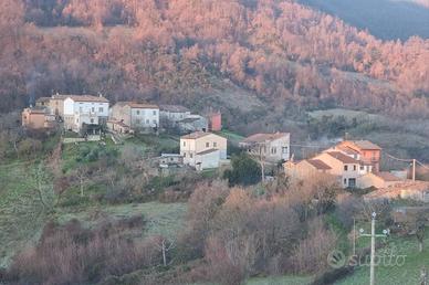 Terreni agricoli nell'entroterra marchigiano