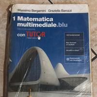 Matematica blu 1