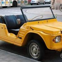 Parabrezza Citroen Mehari da 1968 a 1987