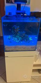 Acquario Marino Completo + tecnica