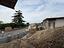 Immagine 12