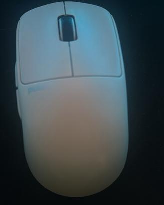 Mouse