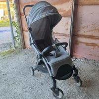 Chicco goody