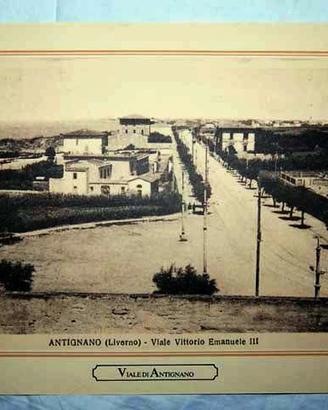 11)Riprod.ne cartolina postale Livorno del 1926