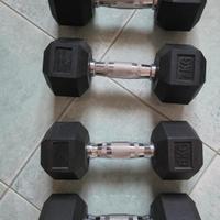 Manubri hex dumbbells


