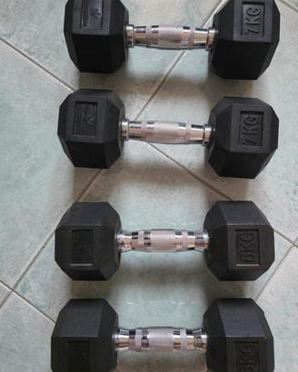 Manubri hex dumbbells

