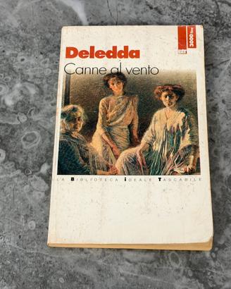 Canne al vento