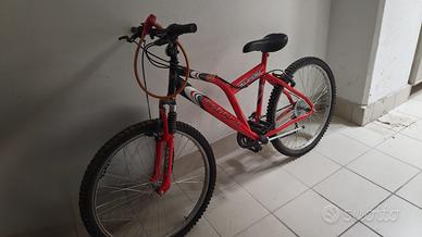 Mountain bike
