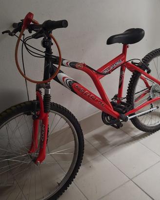 Mountain bike