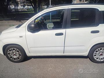 panda 2015
