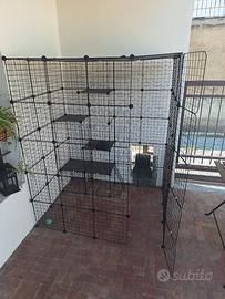 gabbia gatto