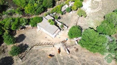 TER. AGRICOLO A ARZACHENA