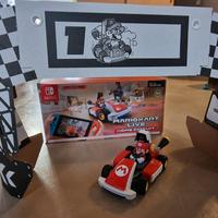 Mariokart live home circuit nintendo