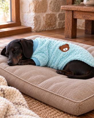 Maglione caldo cane e gatto XL morbido azzurro