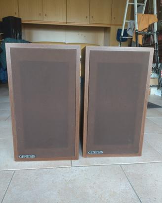 coppia diffusori GENESIS 1 made in USA