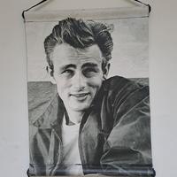 Quadro James Dean su tela di cotone 30x40  Vintage