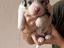 Immagine 6