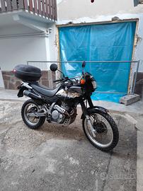 Honda Dominator