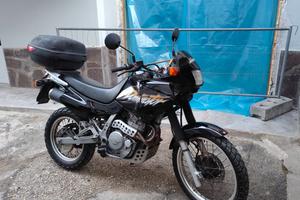 Honda Dominator