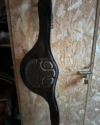 Pararamponi acavallo