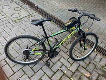 Mountain bike