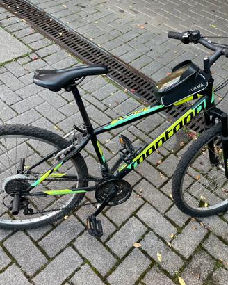 Mountain bike