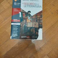 il tesoro della letteratura 