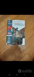 il tesoro della letteratura 