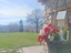 Immagine 6