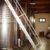 Bolgheri azienda vitivinicola