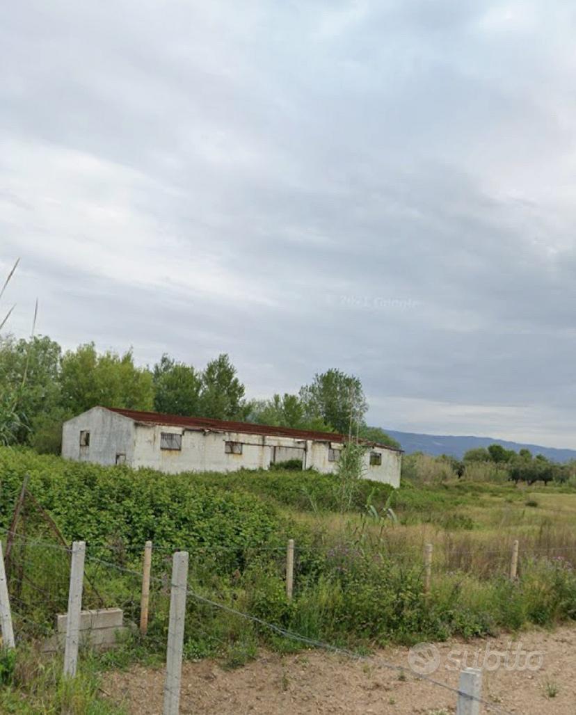 Terreno con CAPANNONE agricoli - Vista 2