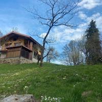 Locazioni turistiche brevi: Il nocciòlo di Daisy